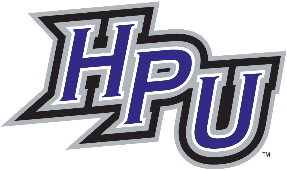 High Point Panthers 2004-Pres Alternate Logo v2 DIY iron on transfer (heat transfer)